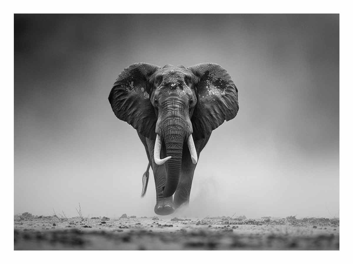 Elepahant Canvas Painting  Print