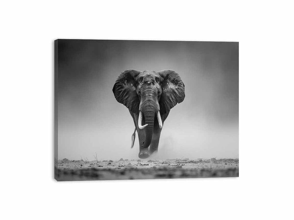 Elepahant Canvas Painting  Print