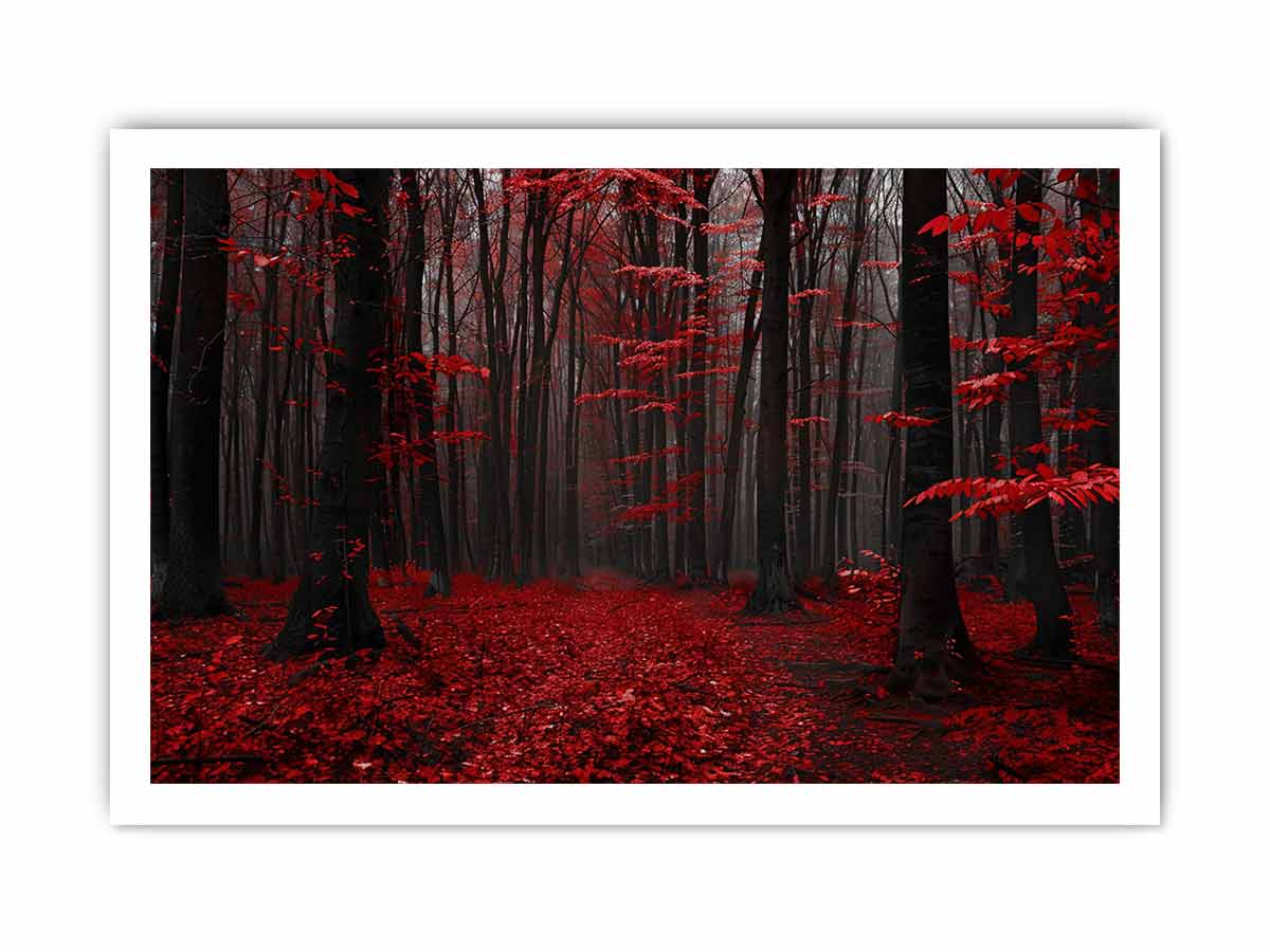 Red Trees  Phtograpahy Art Canvas Art Print