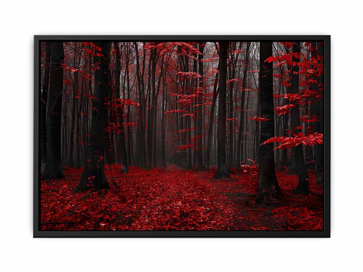 Red Trees  Phtograpahy Art Canvas Art Print