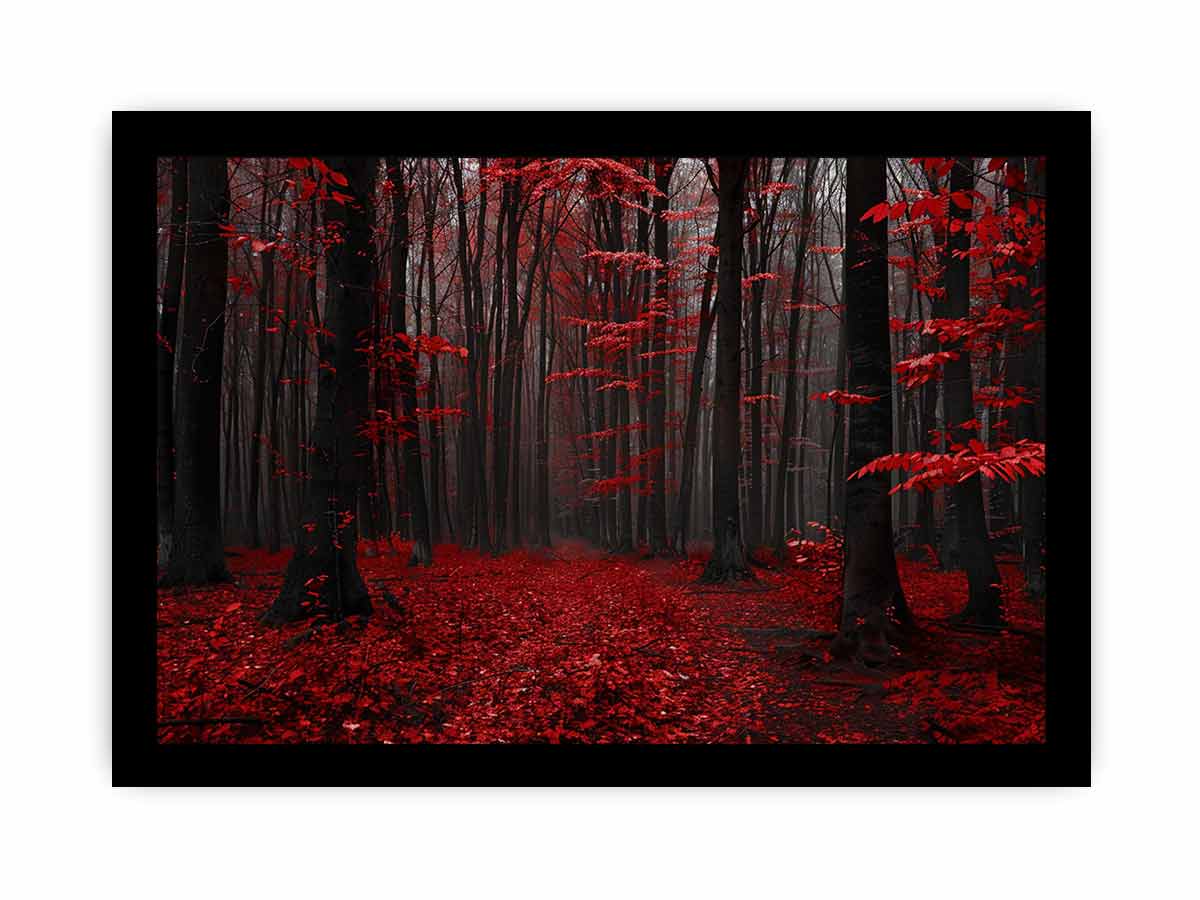 Red Trees  Phtograpahy Art Canvas Art Print