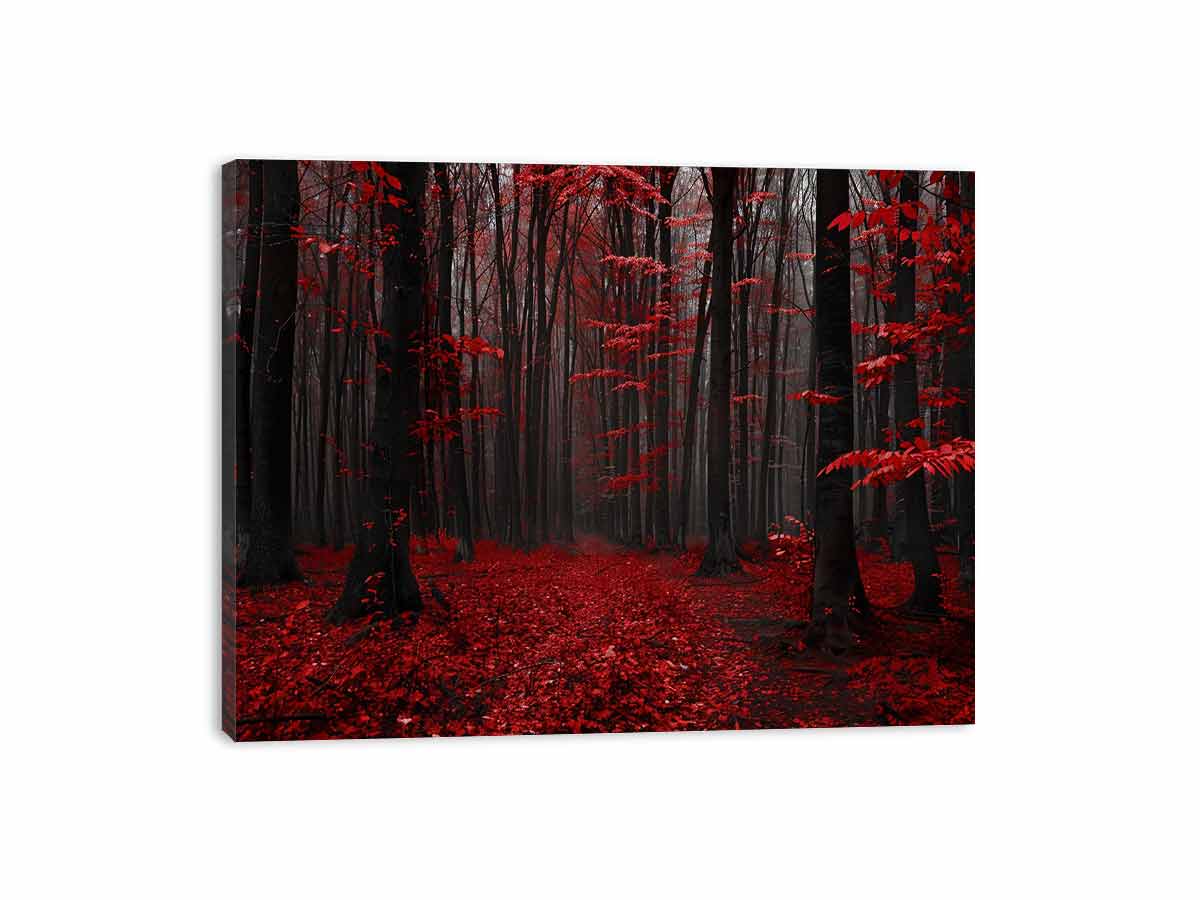 Red Trees  Phtograpahy Art Canvas Art Print