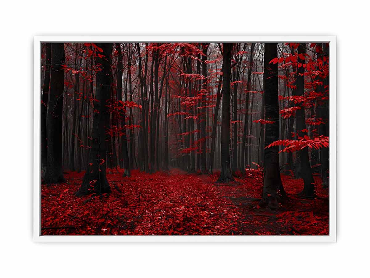 Red Trees  Phtograpahy Art Canvas Art Print
